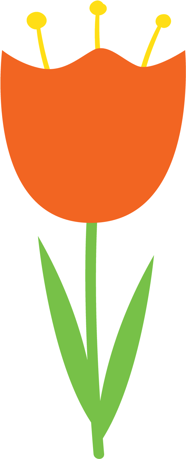 Corujas 2 - Minus - Orange Tulip Clip Art (621x1500)