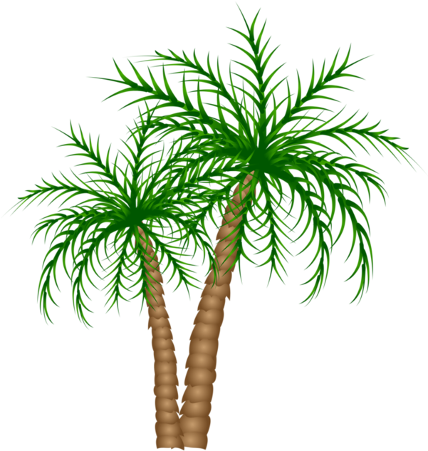 Arecaceae Tree Date Palm Clip Art - Arecaceae Tree Date Palm Clip Art (600x659)