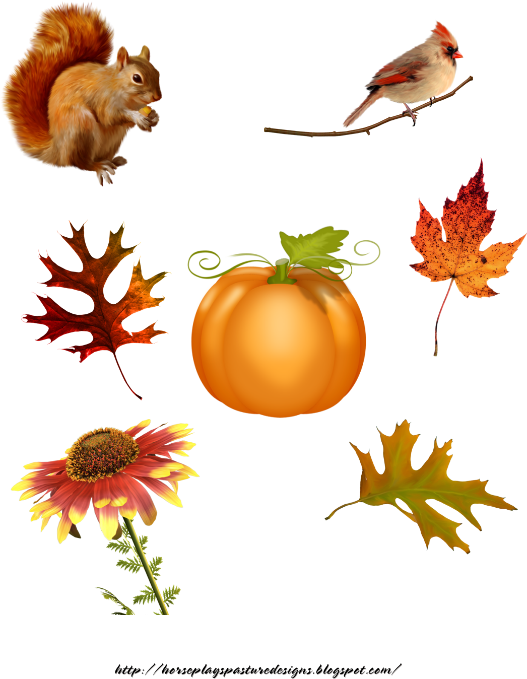 Hpd Autumn Accessories - Illustration (1174x1504)