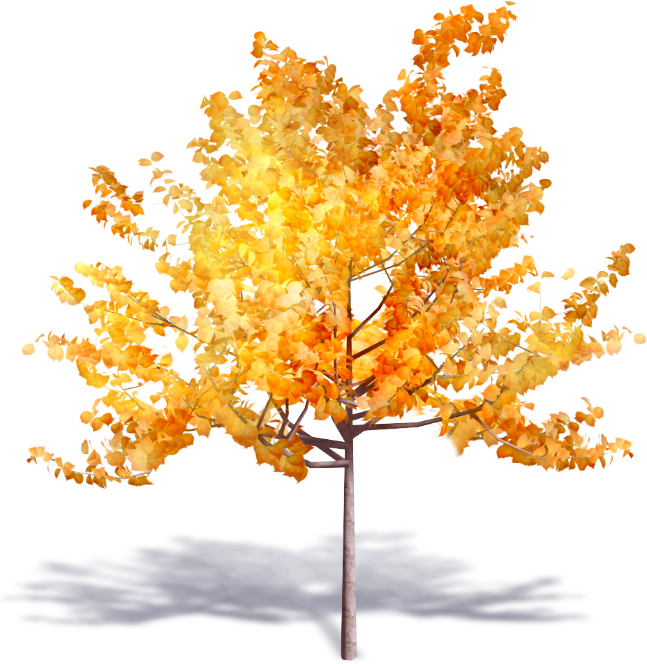 Brand New Autumn Trees Are Available On Polantis Platform - Autumn Tree (1000x1000)