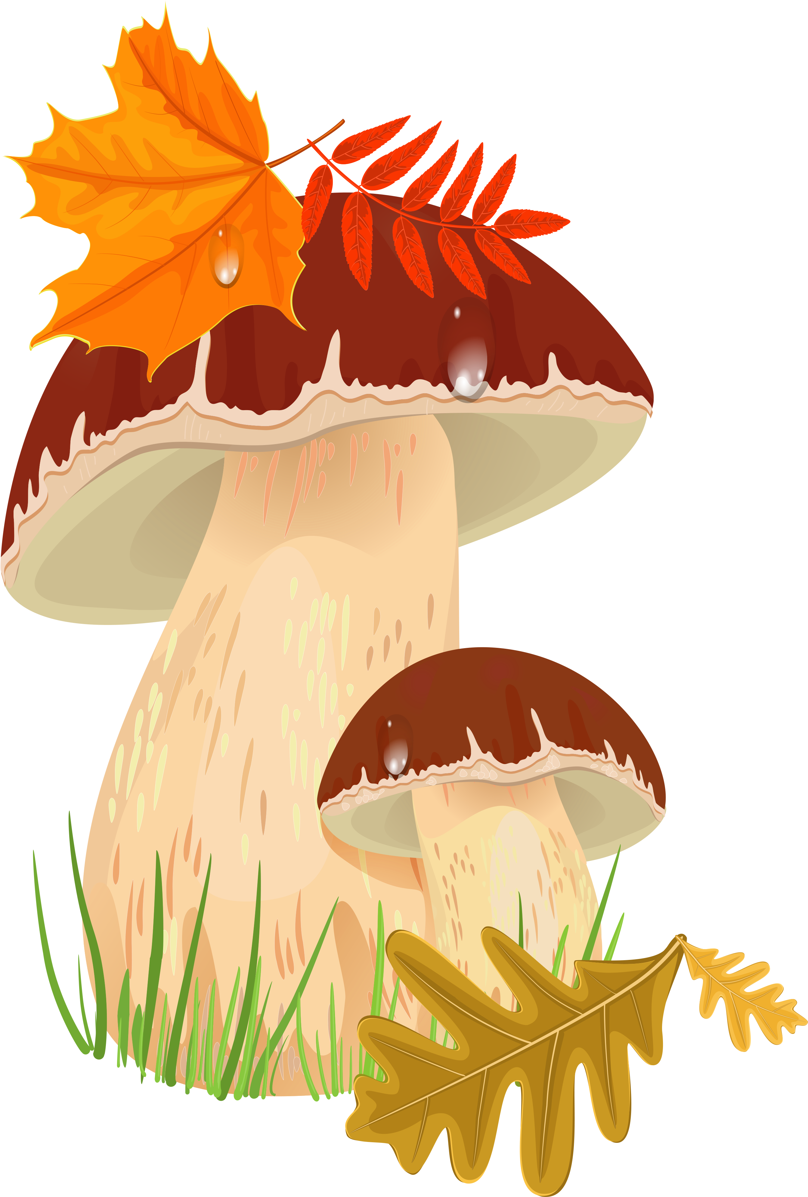 On The Desktop Aljanh - Mushroom Png Fall (2860x4000)