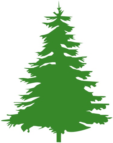 Image Result For Pine Tree Silhouette - Pino Silueta Png (512x512)