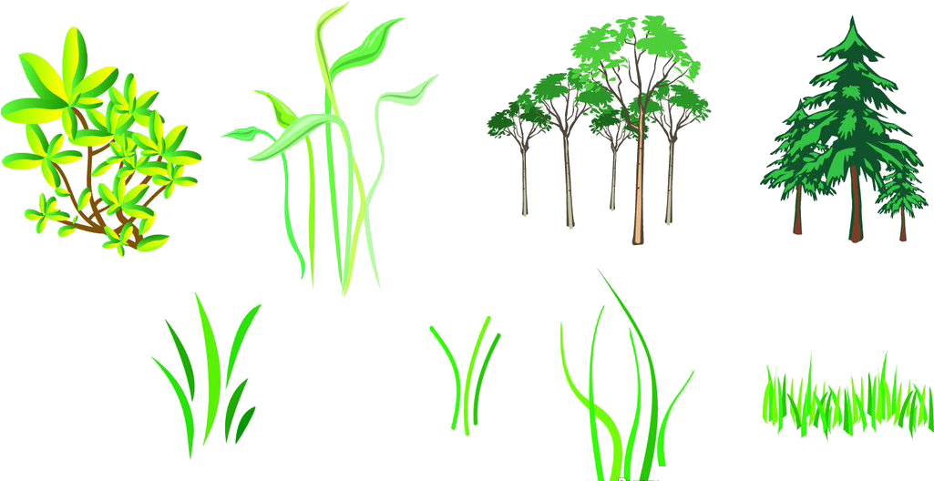 Branch Tree Silhouette - Branch Tree Silhouette (1024x547)