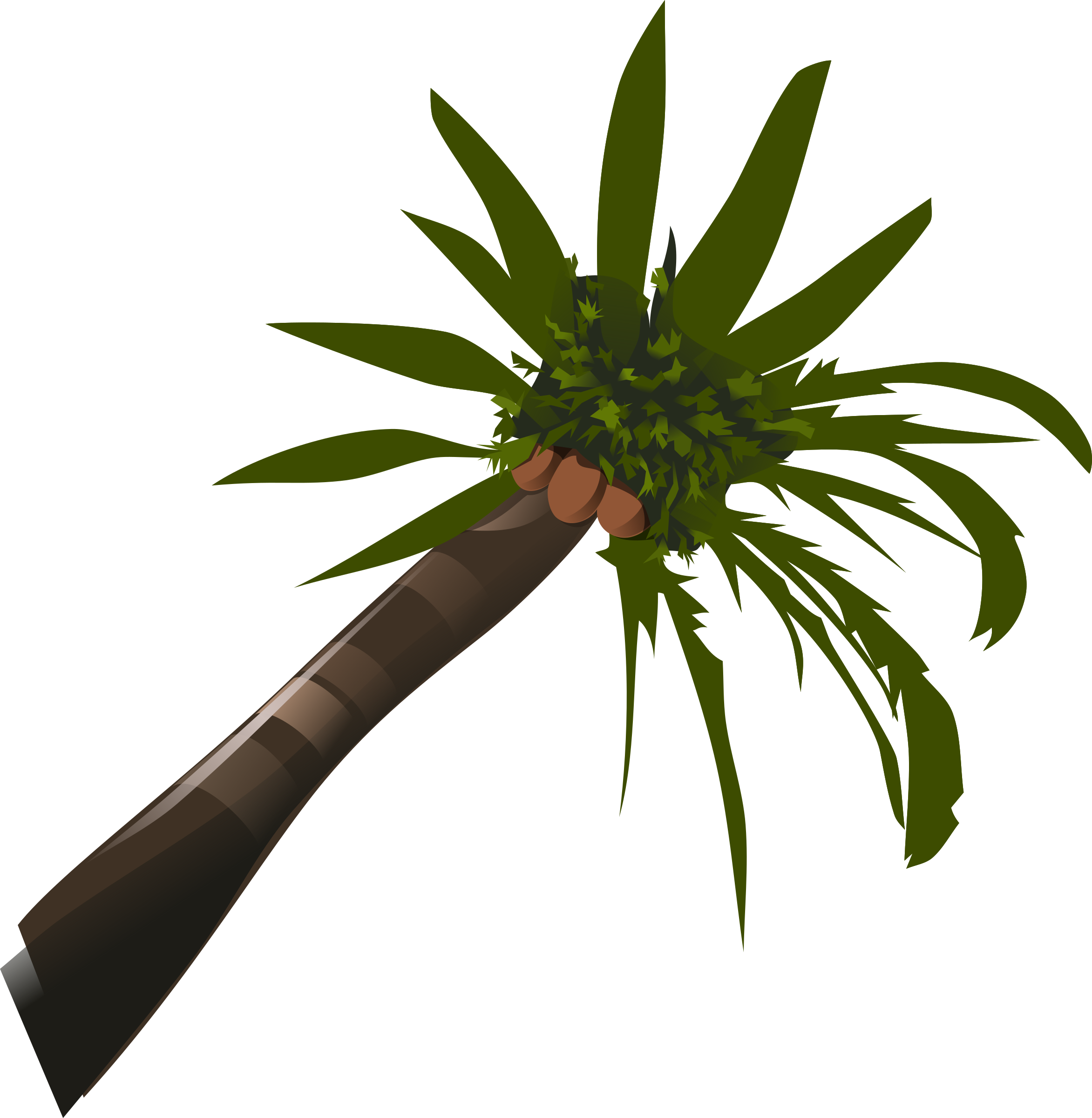 This Free Icons Png Design Of Coconut-palm - Palm Tree Clip Art (2345x2400)