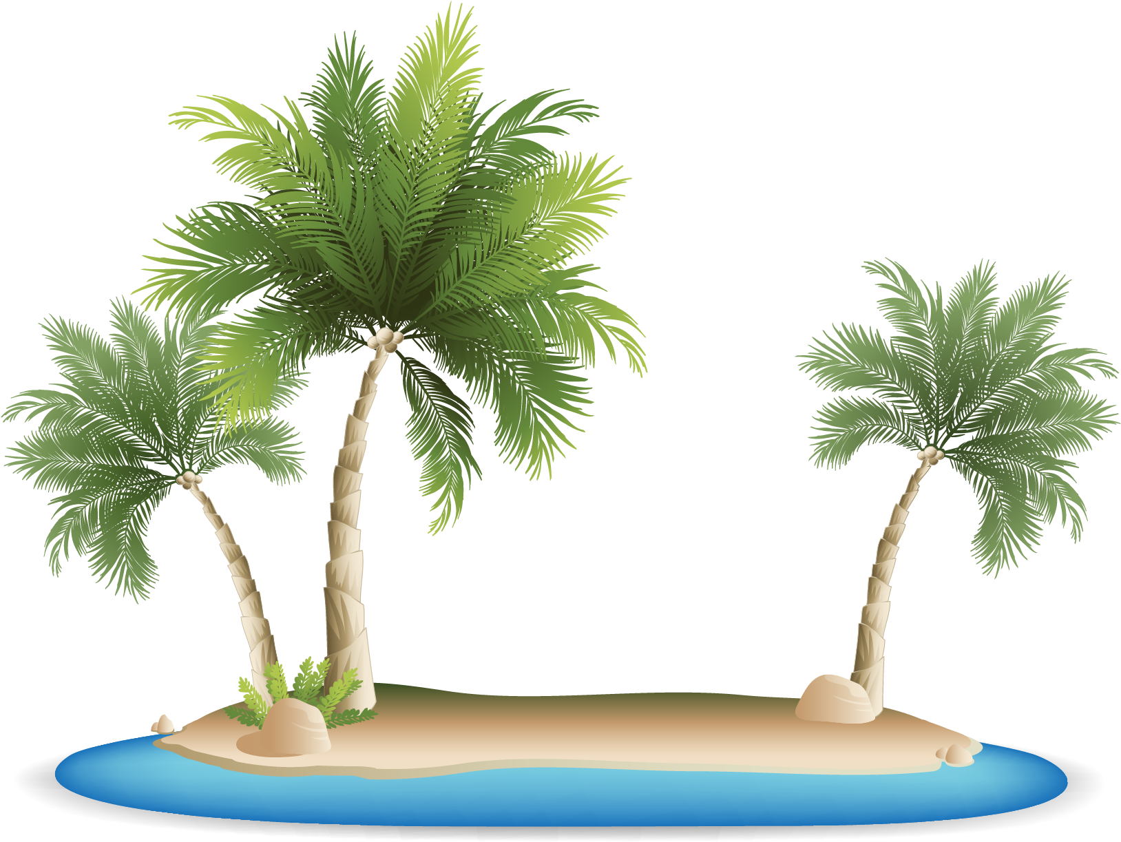 Palm Islands Tropical Islands Resort Clip Art - Palm Tree Beach Clipart (1667x1667)