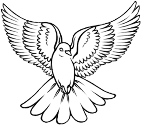 Black Outline Flying Dove Tattoo Design - Dove Tattoo Outline (500x440)