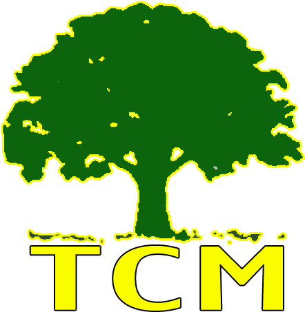 History Of Recreational Tree Climbing Was Started By - Say No To Plastic Bags (640x480)