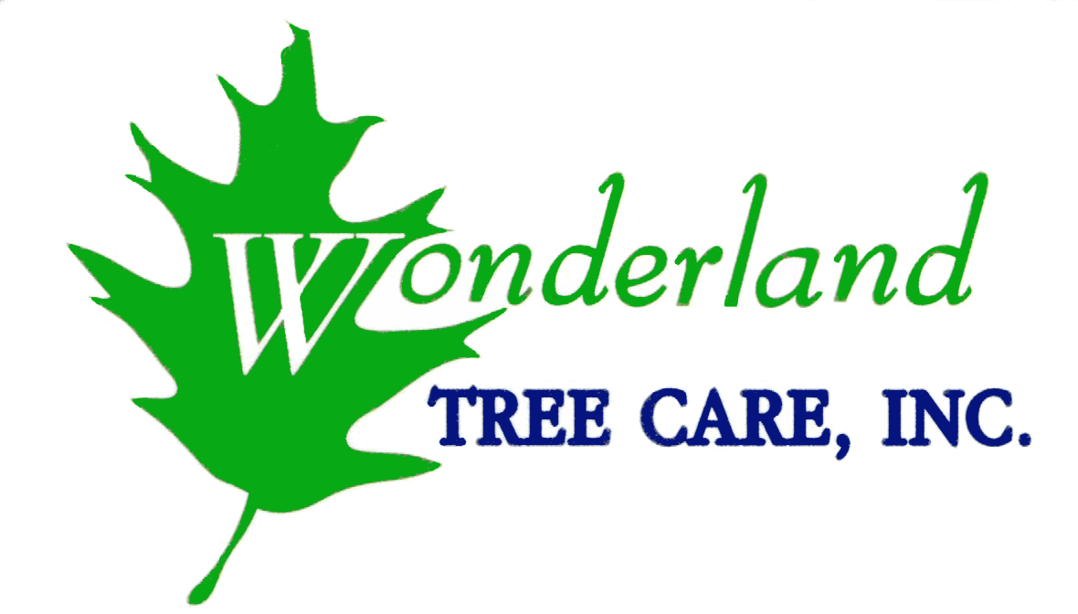 Wonderland Tree Care, Inc - Arborist (1180x672)