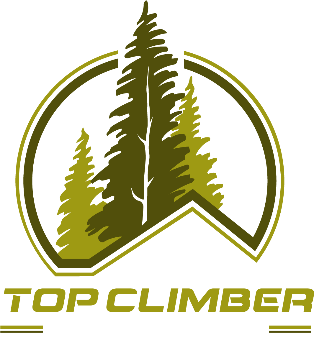 Logo Design Stargrafix Marketing Vehicle Wrap And Tree - Pine Logo (1251x1250)
