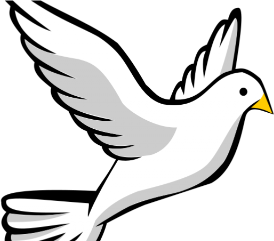 Doves Cliparts Funeral - Get To Know The Holy Spirit (640x480)