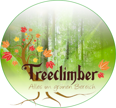 Treeclimber Stefan Conradi - Adam Lambert Wallpaper Hot (383x357)