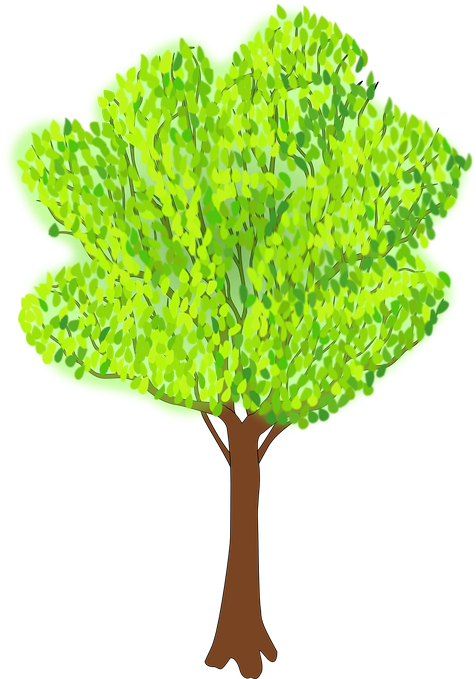 Coconut Tree Animated 11, Buy Clip Art - Clipart Of Tree In Summer (569x720)
