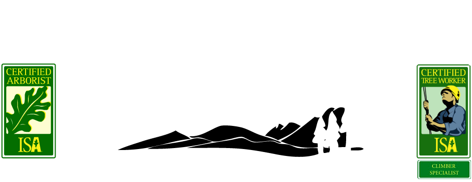 Skyline Tree Service Mammoth Lakes - Certified Arborist (960x370)