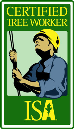 Image 1265722 Certififed Tree Worker Logo - Isa Certified Tree Climber (500x500)