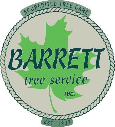 Tree Work In The Berkshires Of Western Mass Natural - Cafepress Bozeman, Mt 2063 Cube Ottoman (375x415)