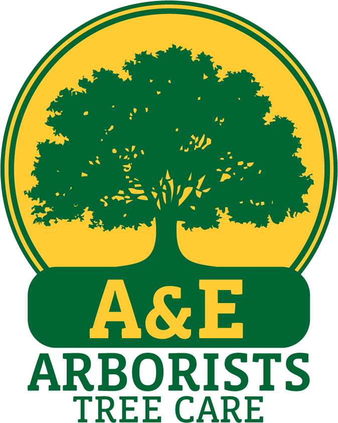A&e Arborists Tree Care - Illustration (960x960)