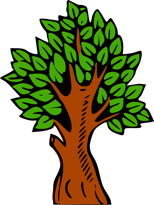 Tree Climber Cliparts 5, - Tree Colour (564x750)