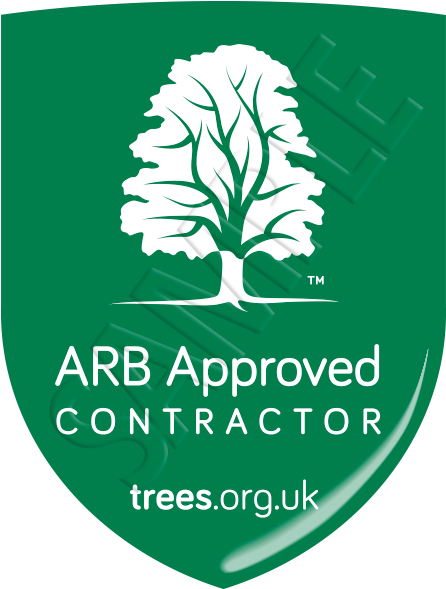 Arb Approved Contractor Logo - Arb Approved Contractor (500x600)