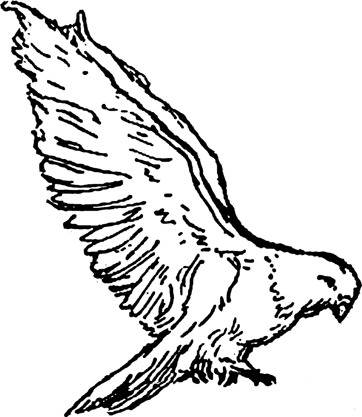 Of Course, Since The Bird Image Is Of A Dove, A Religious - Illustration (1369x1600)