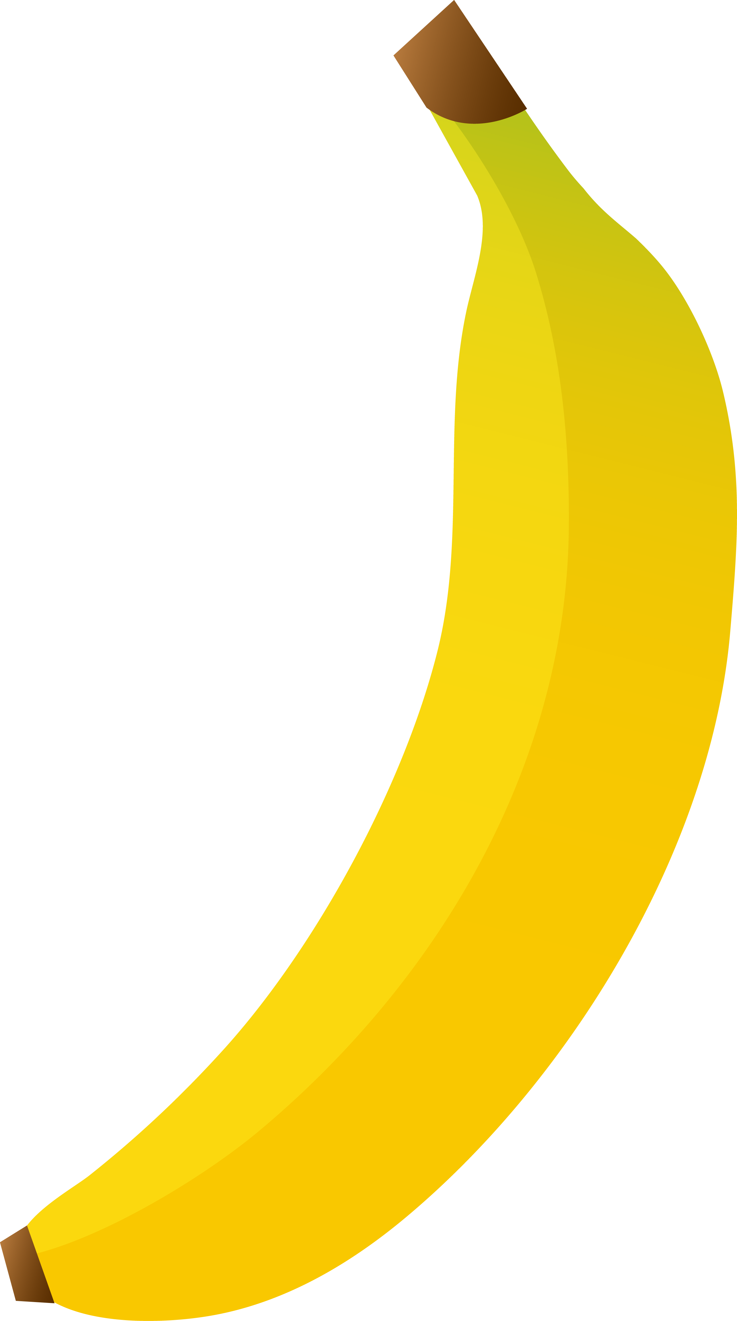 Banana Clip Art - Banana Clipart No Background (2569x4605)