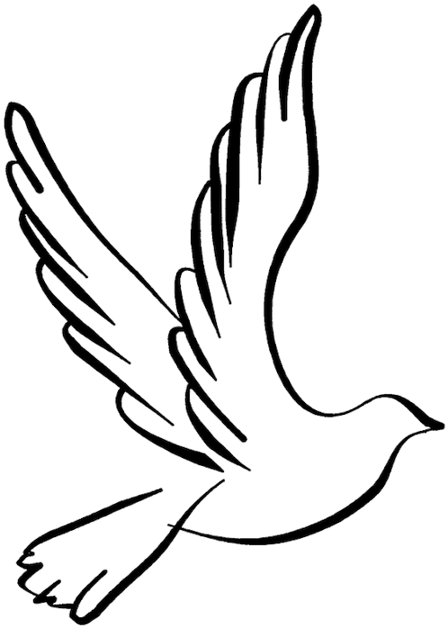White Dove Flying Clipart - Black And White Dove Png (800x800)