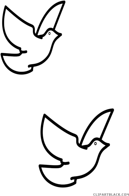 Dove Silhouette Animal Free Black White Clipart Images - Paloma Para Colorear (499x700)