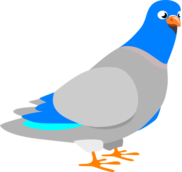 Dove Clipart Burung - Another Word For A Long Time (762x720)