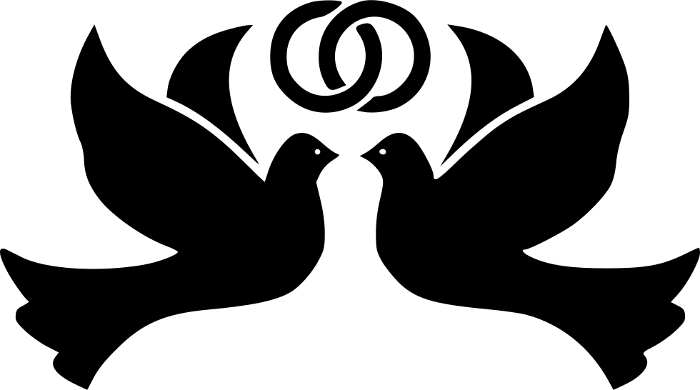 Bird Birds Dove Doves Flight Fly Flying Peace Ring - Dove Png Icon (980x546)