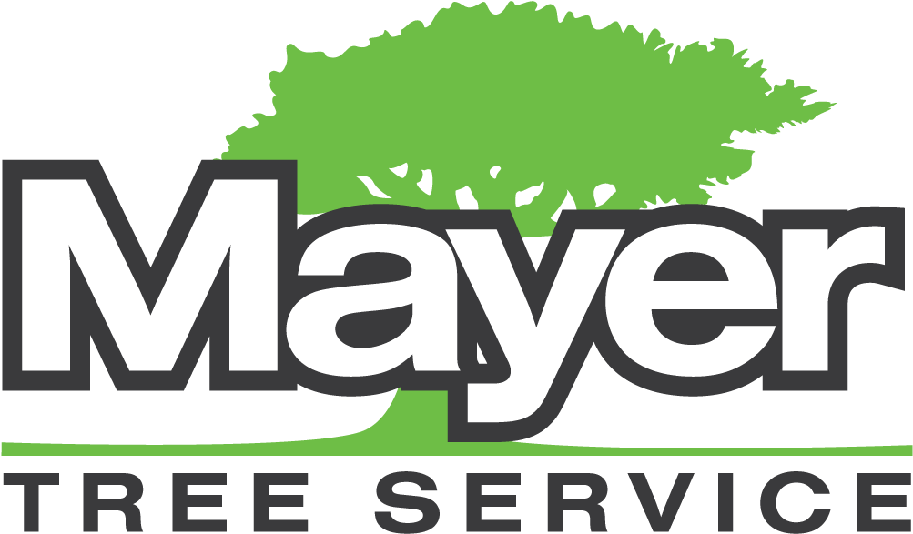 Tree Service Mayer Tree Service Locations Rh Mayertree - Web Design (1024x608)