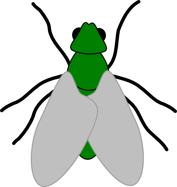 Cartoon Green Fly (564x597)