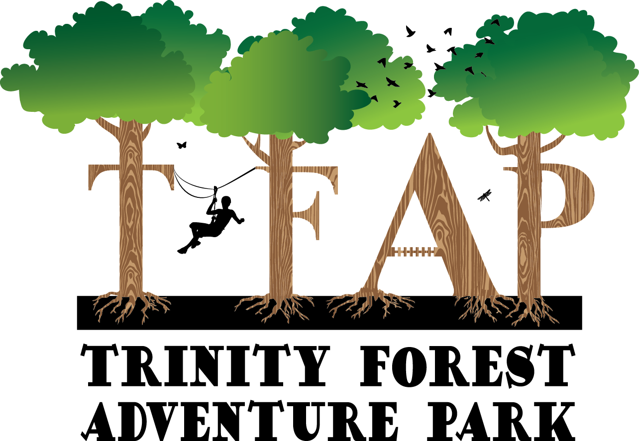 Tfap Logo - Trinity Forest Adventure Park (1284x887)