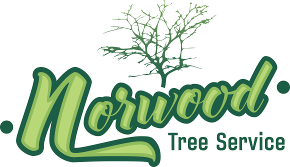 Home - About - Services - Contact - Home - About - Services - Contact (580x334)