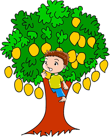 Index Of /images/story Contest/2016 - Mango Tree Images Clip Art (400x481)
