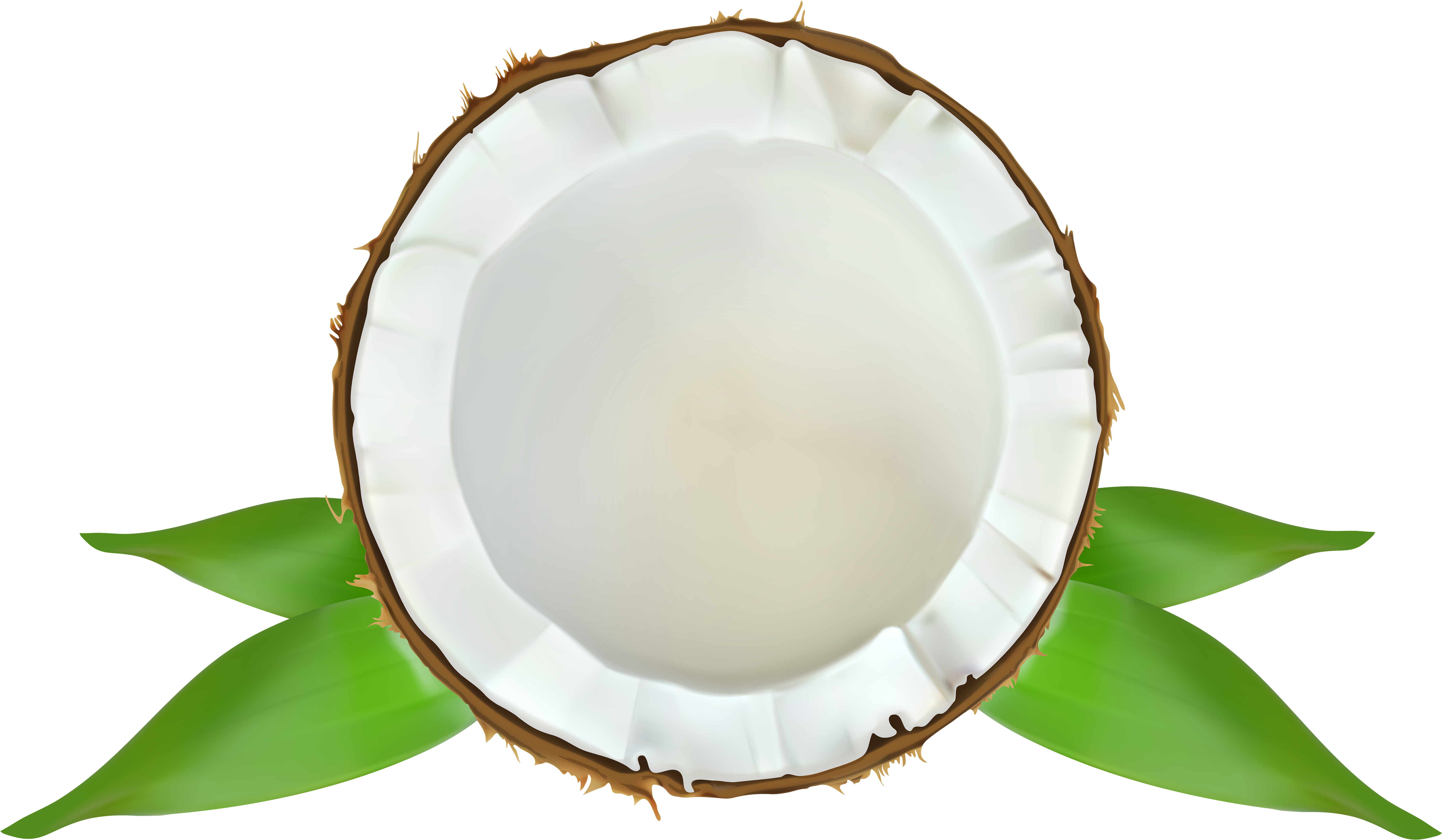 Coconut Transparent Png Clip Art Image - Coconut Clip Art (6000x3579)