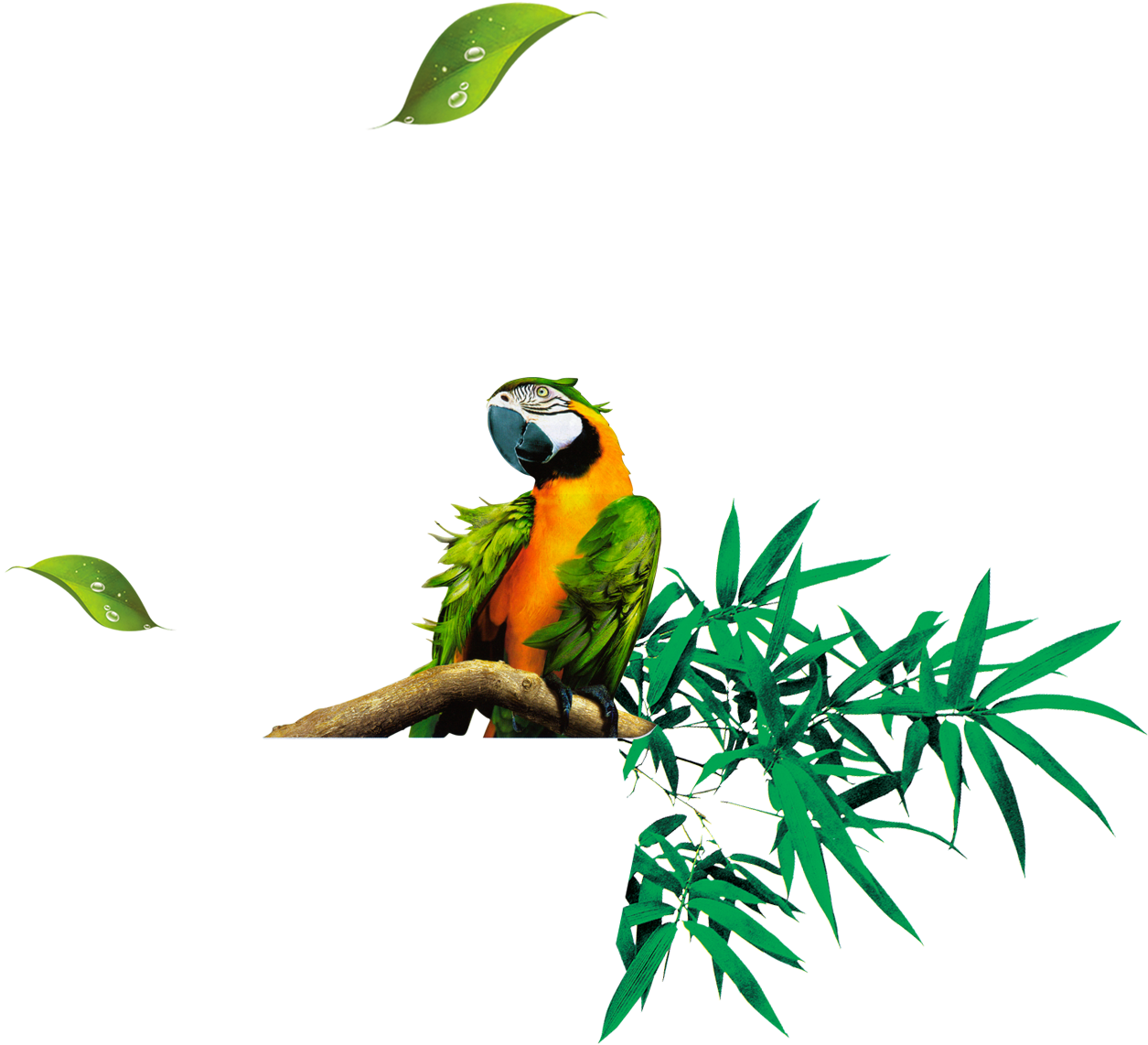 Bamboo Leaf Euclidean Vector - Bamboo Leaf Euclidean Vector (1326x1141)