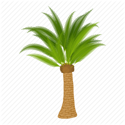Pictures Of Cartoon Palm Trees - Illustration (512x512)