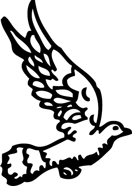 Bird, Dove, Flying, Doves, Fly - Gambar Merpati Hitam Putih (456x640)
