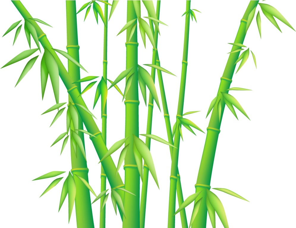 Marvellous Design Bamboo Clip Art Download Free Png - Bamboo Png (1024x768)