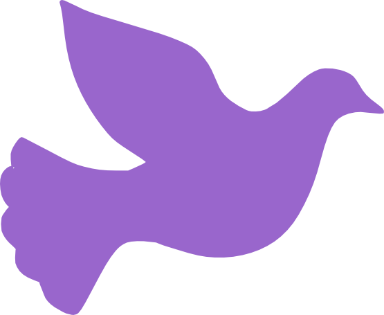 Water Dove Peace Amethyst - Dove Silhouette (555x455)