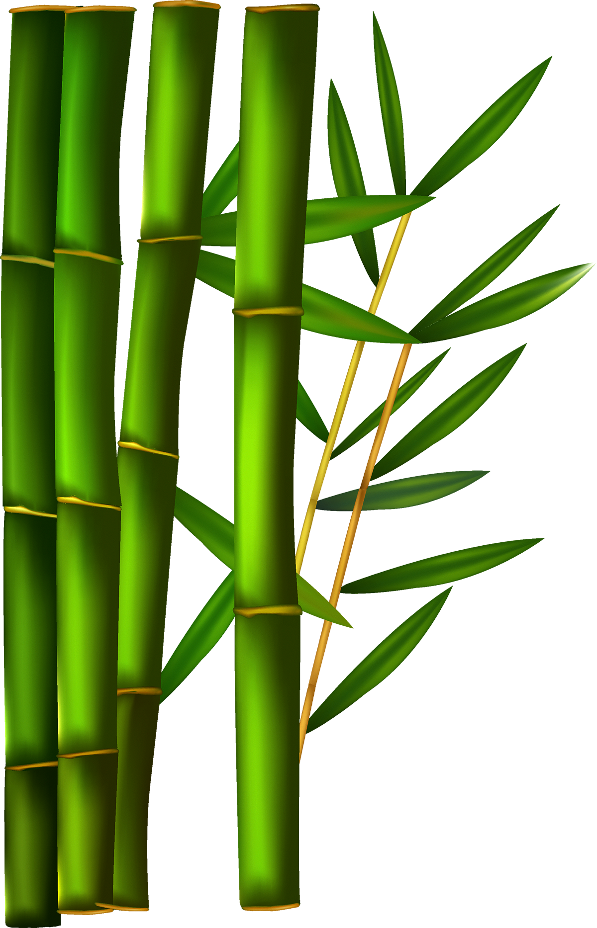 Paper Bamboo Clip Art Green Bamboo 1200 1867 Transprent - Paper Bamboo Clip Art Green Bamboo 1200 1867 Transprent (1200x1867)