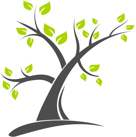 Tree Logo Design Vector, Png - Tree Vector Logo Png (999x999)