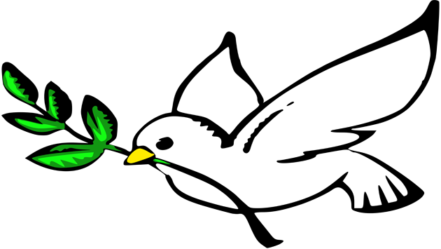 Peace In Islam - Dove Of Peace (630x355)