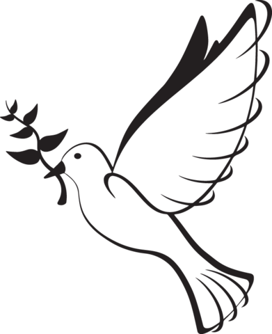 Dove With Branch - Dove With Olive Branch (391x480)
