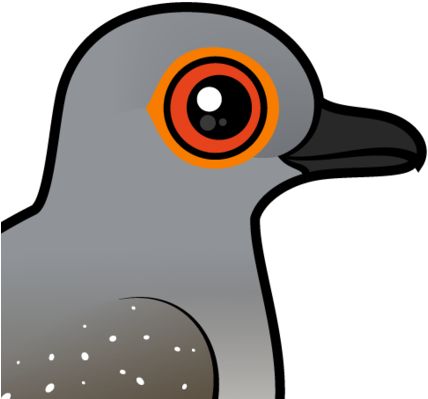 About The Diamond Dove - Hornbill (440x440)
