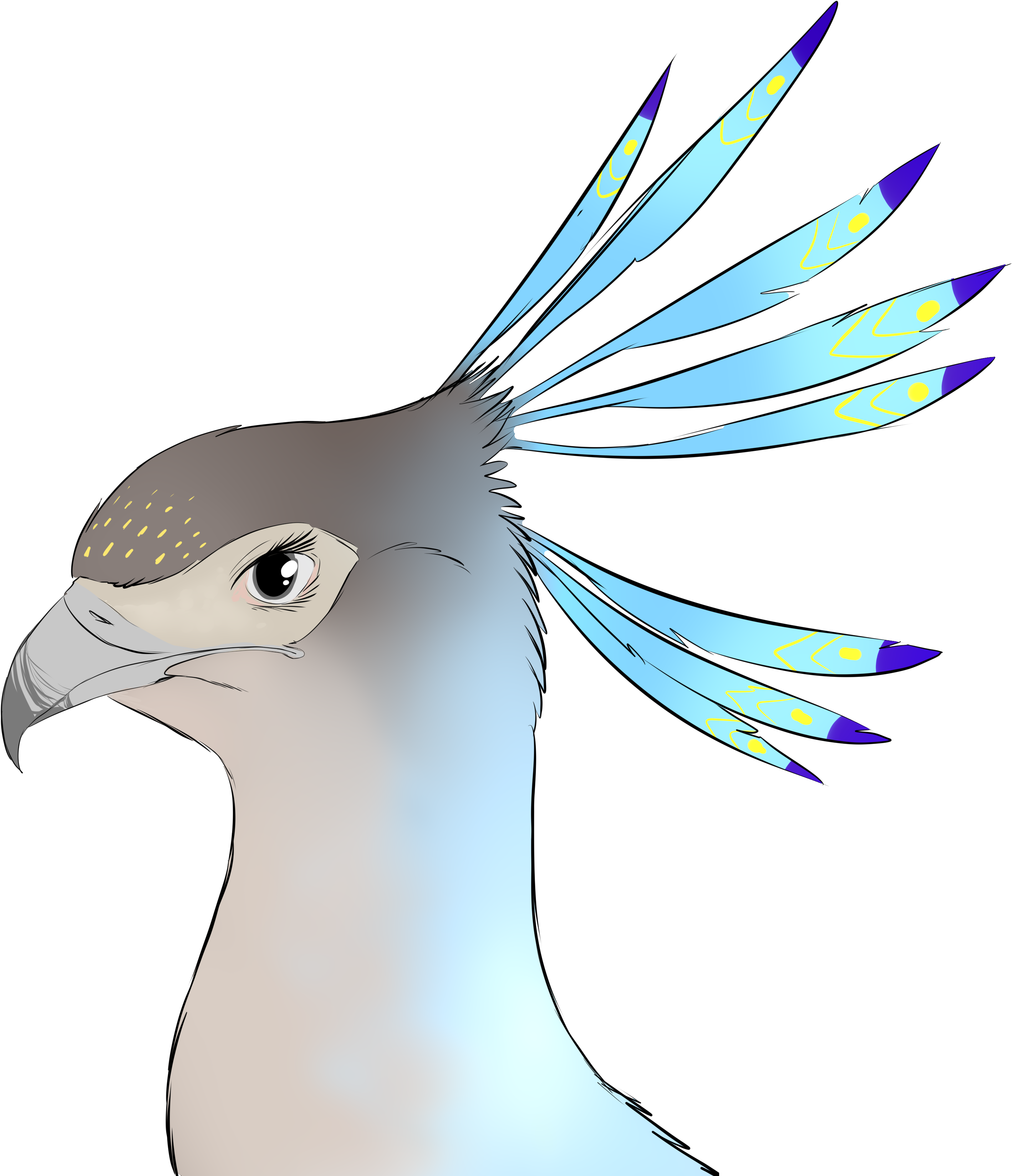 Details - Stock Dove (2860x3328)