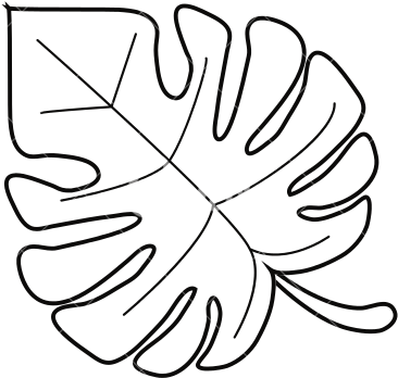 Leave Outline - Monstera Leaf Outline (550x550)