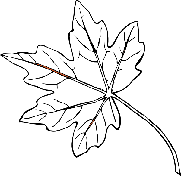Fall Leaves Clip Art (600x585)
