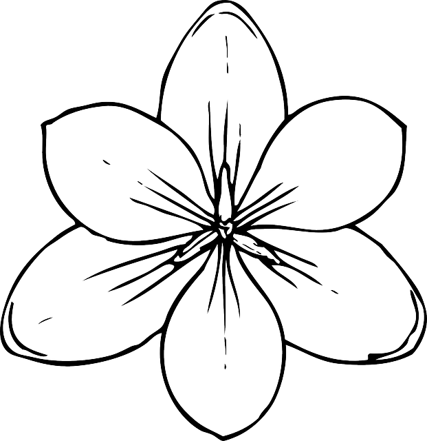 Top, View, Simple, Outline, Drawing, Sketch - Coloring Pages Of Flowers (621x640)