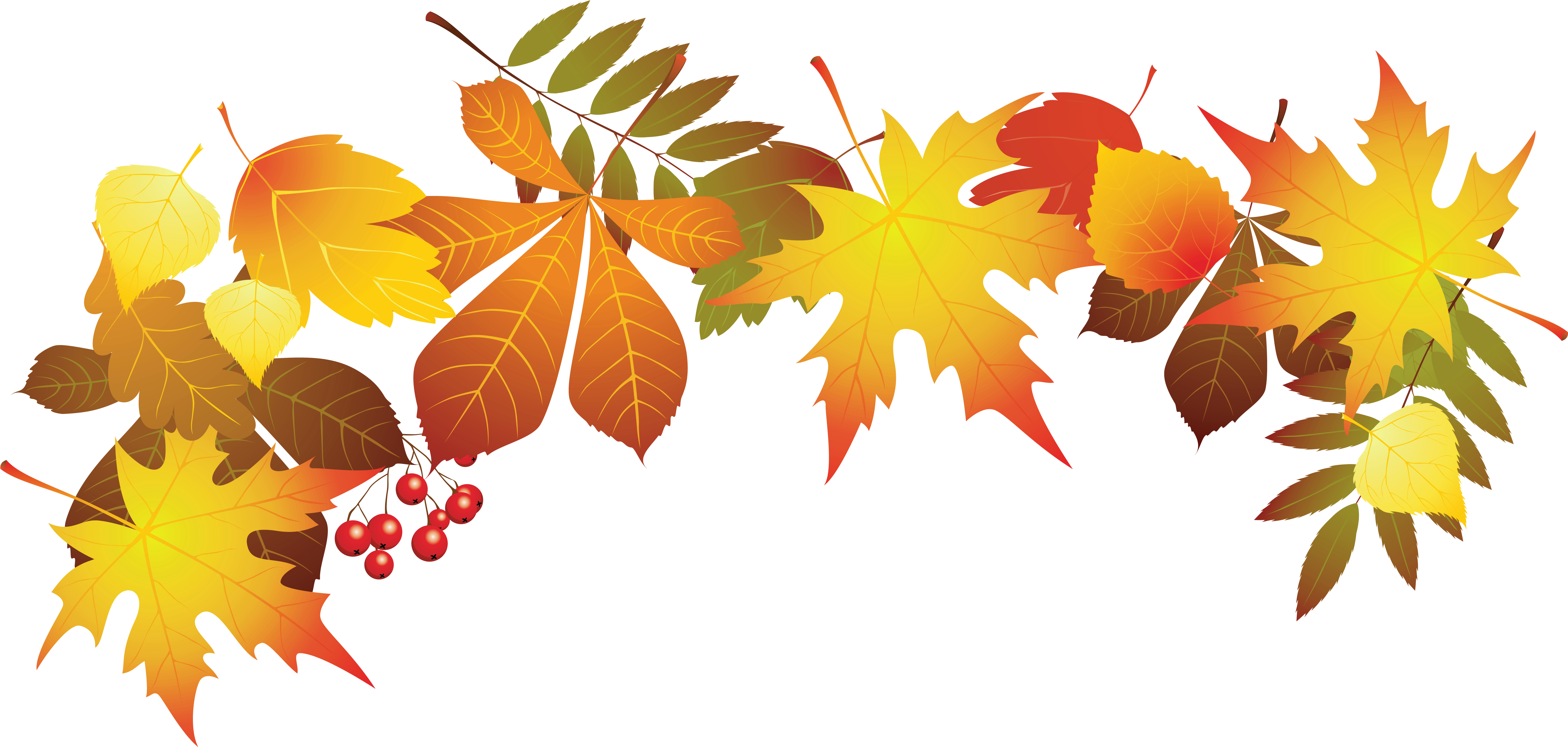 Transparent Autumn Leaves Decoration Png Clipart Image - Fall Leaves Transparent Background (6759x3276)