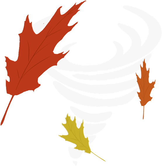 Autumn Gale Cutie Mark Vector By Neko-luvz - Mlp Autumn Cutie Mark (900x600)